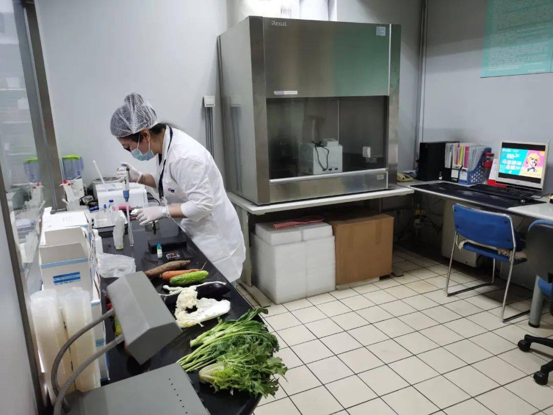 马村食品检测实验室装修方案